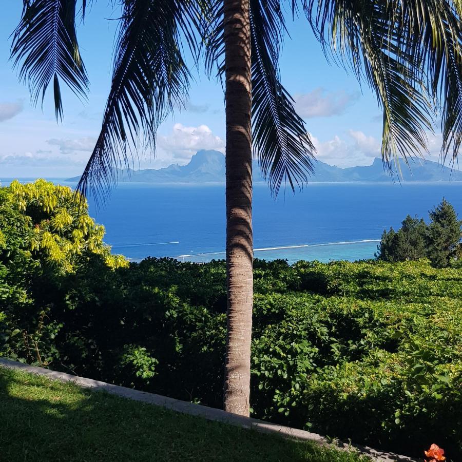 Villa Lodge - Bas De Villa Avec Piscine Et Vue Ocean Et Moorea 普纳奥亚 外观 照片